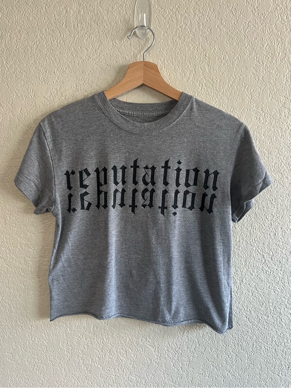 Taylor Swift Heather Grey Reputation Cropped Tee Short Sleeve Size Small Rare